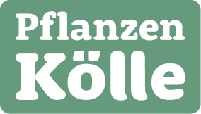 Logotipo de Pflanzen Kölle